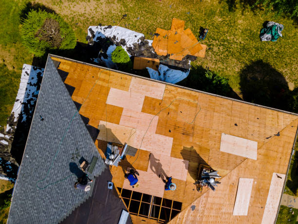 Best Gutter Installation and Roofing  in Ashville, AL