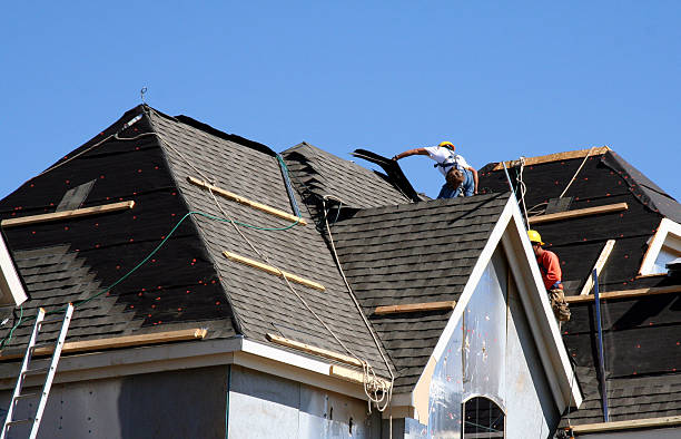 Best Roof Gutter Cleaning  in Ashville, AL