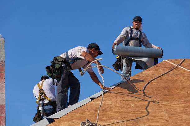 Best Residential Roofing Contractor  in Ashville, AL