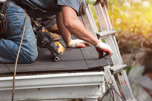 Best Roof Gutter Cleaning  in Ashville, AL