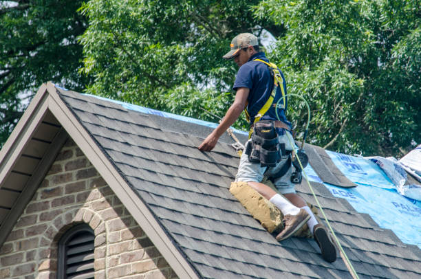 Best Roof Leak Repair  in Ashville, AL